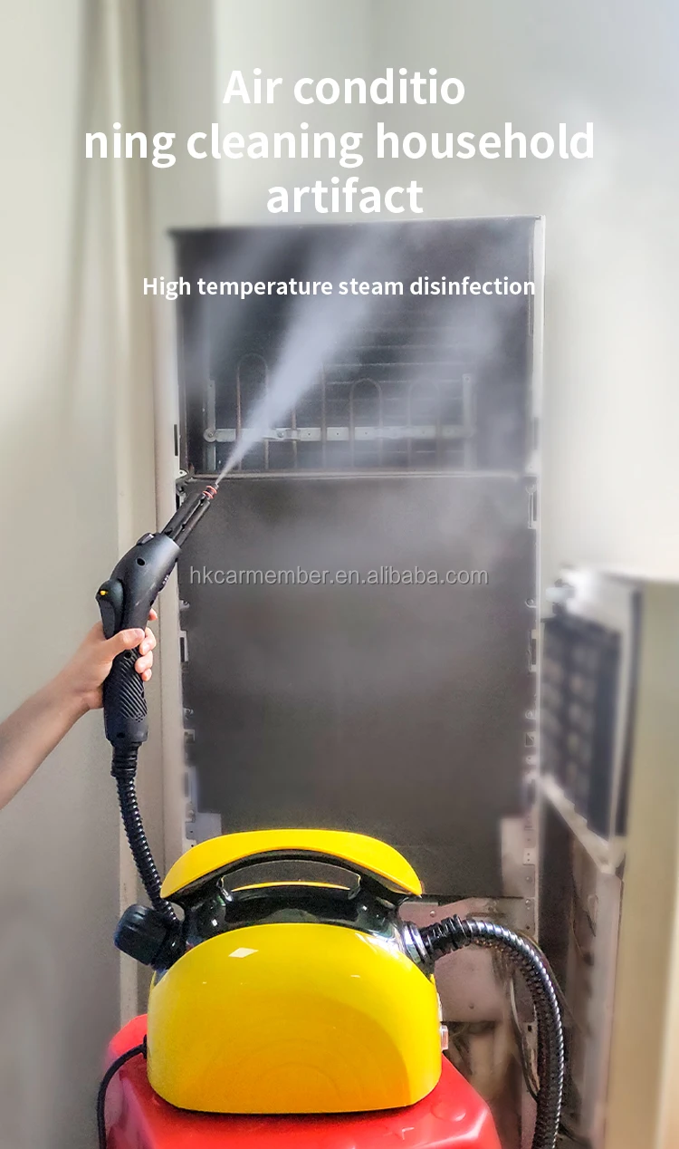 手持式多功能蒸汽清洗机用于家庭和洗车净化空气和消毒
