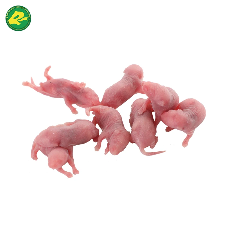 Pinkies Snake Food atelieryuwa.ciao.jp