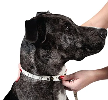 size guide for ABS plastic Gold Dog Chain Collar