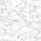 Slab Marble Tile Italian Calcatta White Marble Big Slab Tile