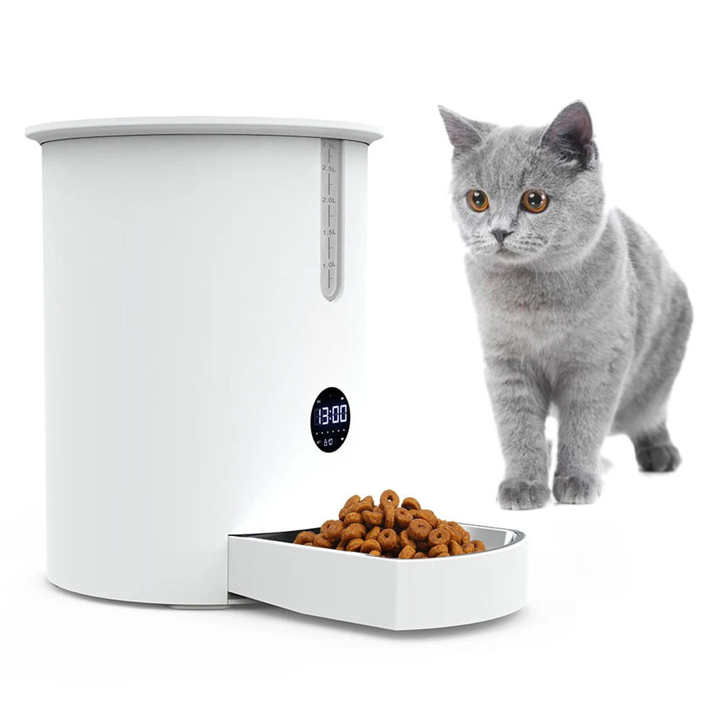 pet smart cat feeder