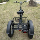 EZREAL High Quality Fat Tire Cargo 3 Wheel Electric Tricycle Bike 48v 500w Trike For Adult
