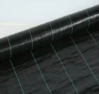Covers China Supplier Wholesale Agricultural Black Pp Woven Fabric Weedmat Ground Covers