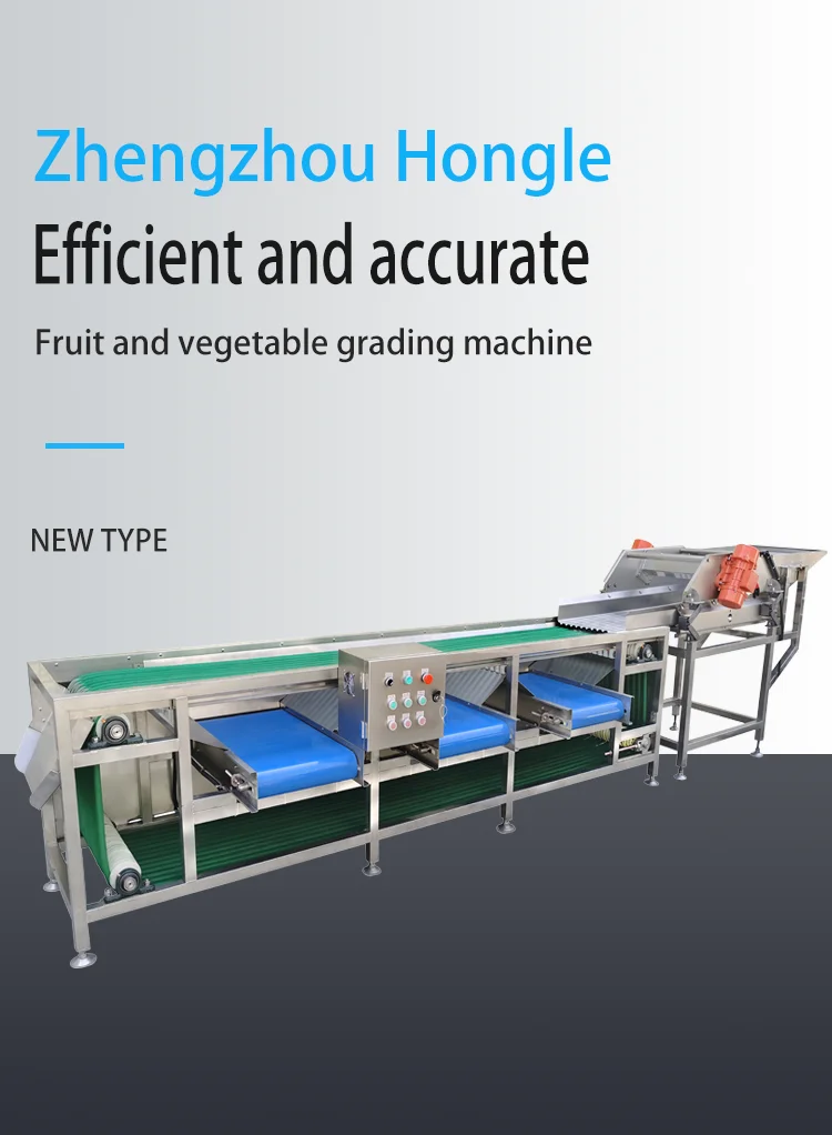 Calibrating Apple Sorter Onion Size Citrus Sorting Machine factory