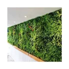 Green Cost Effective Landscape Decoration Artificial Green Wall
