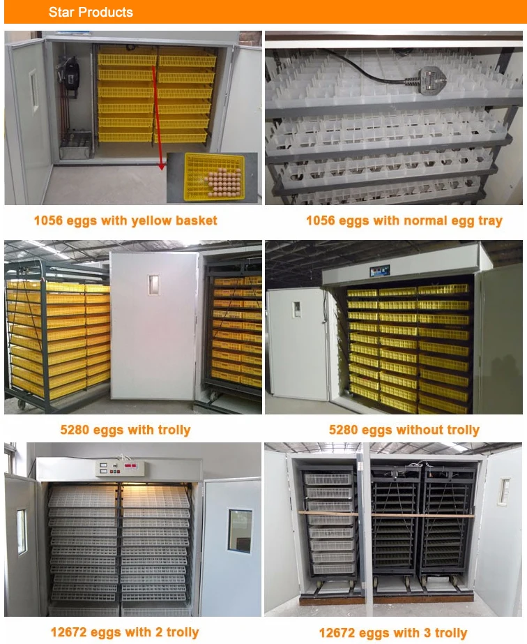 Cross Flow Fans, 360V, color plate - detail 6