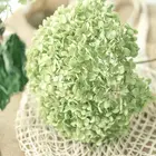 Flowers Flower Christmas Decoration Exquisite Natural Decorative Flowers Wreaths Flowerdried Flower Hydrangea