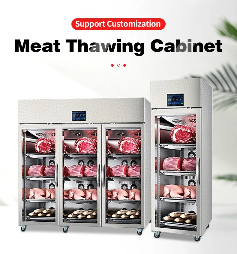 Thawing Equipment, 220 V, 320-1300w - detail 2