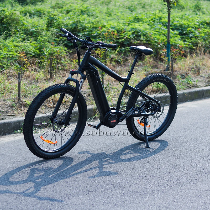 Tire E-bike Electric Bicycle 