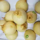 Pears Pear A Fresh Top Rated Fruit Provider Fresh Pears Fruit Sweet Ya Pear