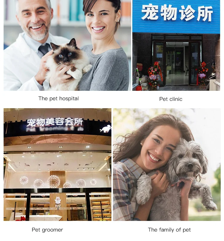 High Quality Thermostatic Stainless Steel Dog Pet Cages Houses Temperature Control & Oxygen Cabin