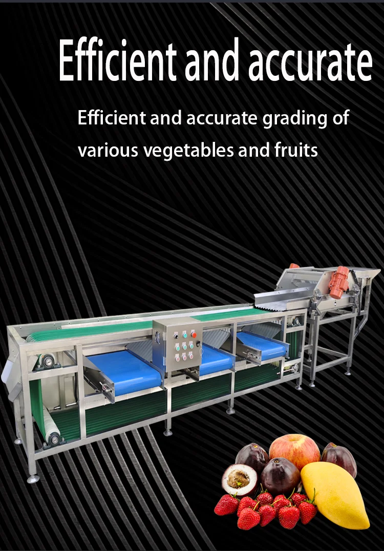 Calibrating Apple Sorter Onion Size Citrus Sorting Machine details