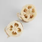 Exfoliating Sponge Eco-friendly Organic Biodegradable Exfoliating Dish Cleaning Kitchen Loofah Sponge
