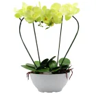 Flower Led Flower Stand Light Outdoor Garden Yard Decoration Led Artificial Orchid