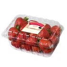 Clear Tray Blister Tray Most Popular Oem Customize Clear Blister Clamshell Packaging Vegetable Fruit Packaging Tray