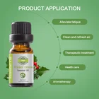 Pure 100% Pure No Additives Best Price Top Quality Health Care Winter Green Essential Oil
