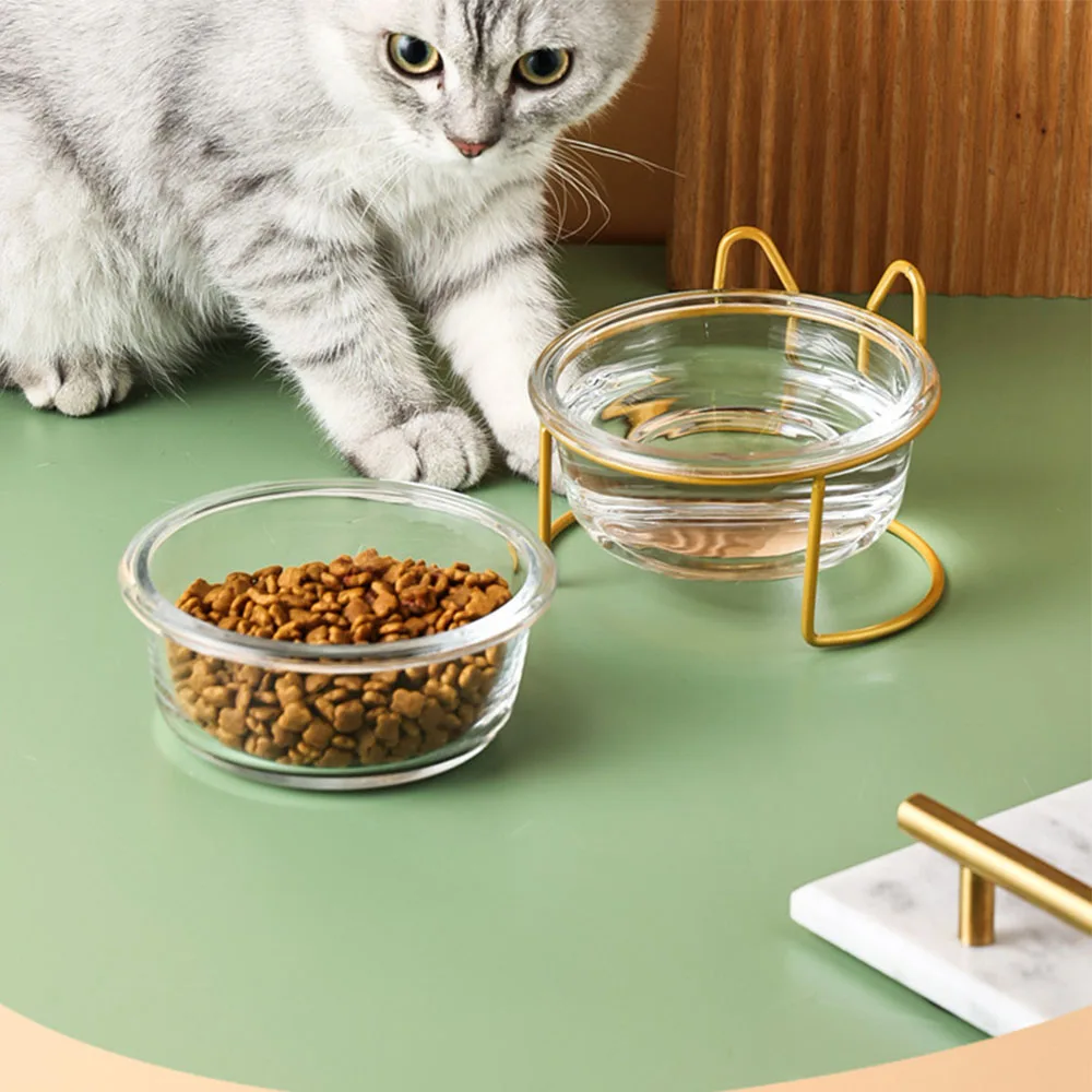 sustainable glass cat bowls