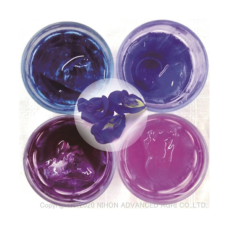Japan butterfly pea sterilized dry flowers organic for wholesale