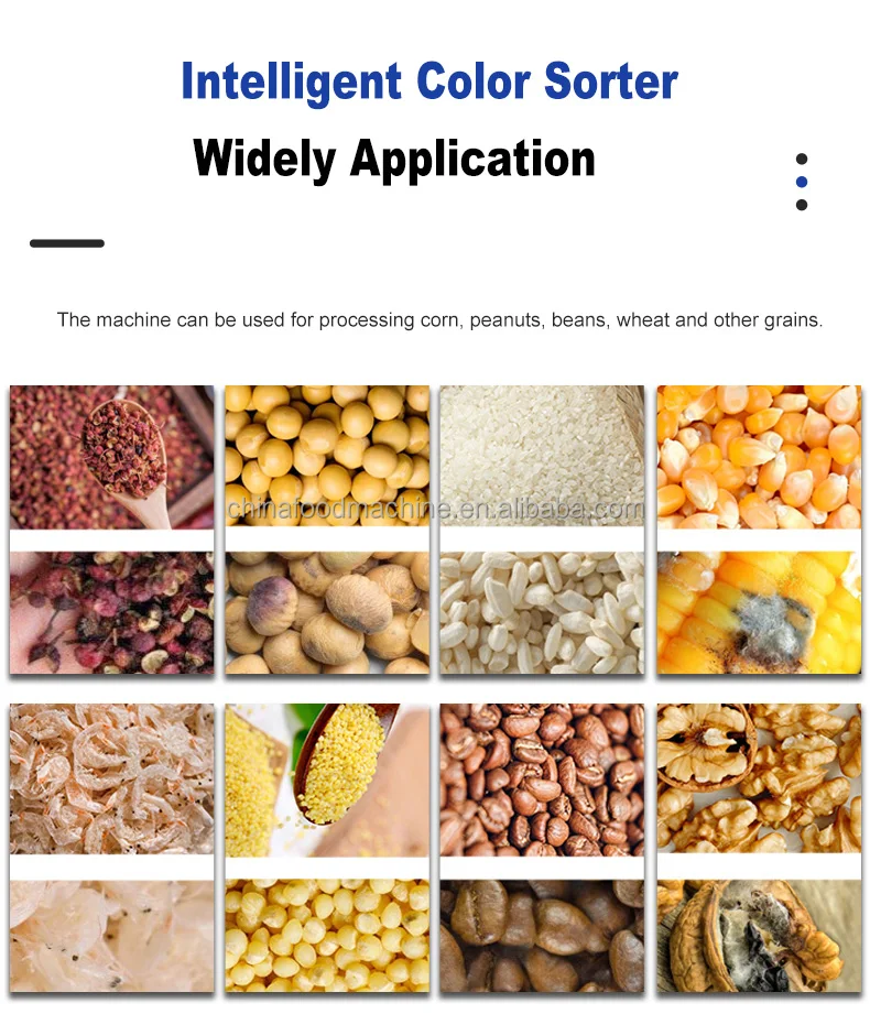 Factory Price Coffee Cherry Soybean CCD Mini Seeds Color Sorter Machine Grain Color Sorting Machine details