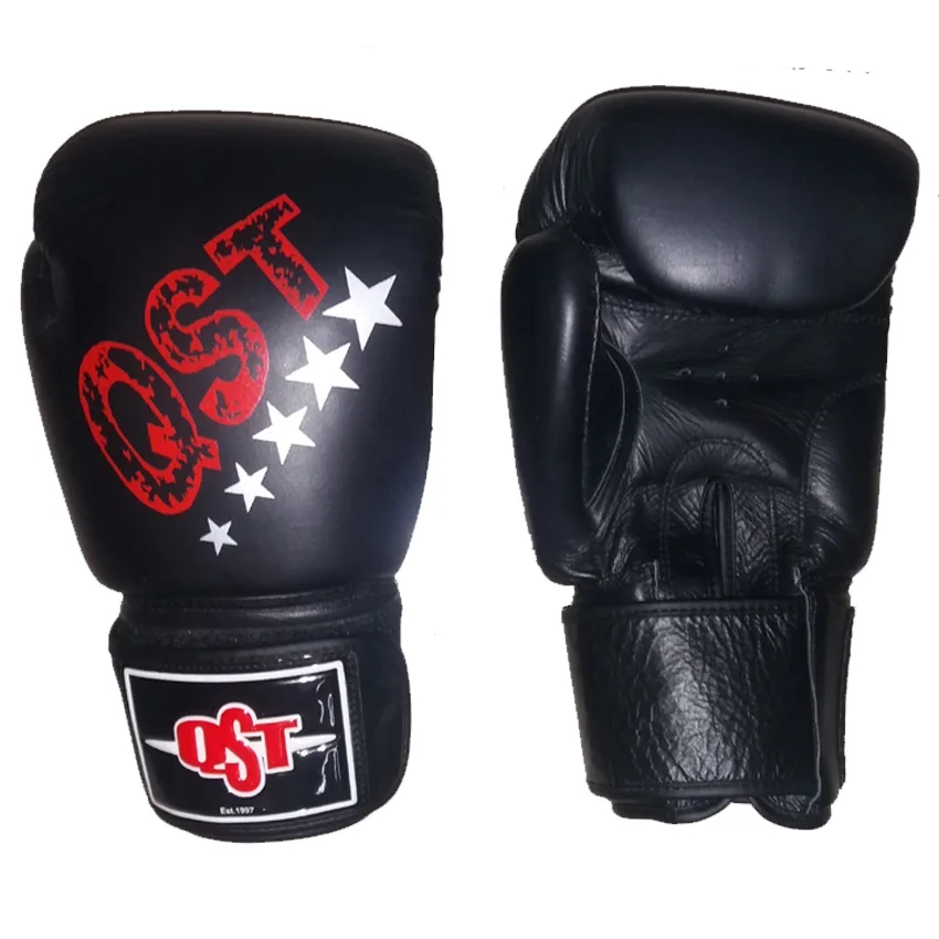 twins kickboxing gloves