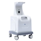 2020 Medical Free Noise Portable Air Compressor Machines Without Tank