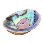 Shell Sea Wholesale Abalone Shell Smudging China Sea Polished Abalone Shell
