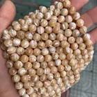 Shell Beads Wholesale Trochus Sea Shell Mother Of Pearl Beads For Jewelry Making DIY Accessories
