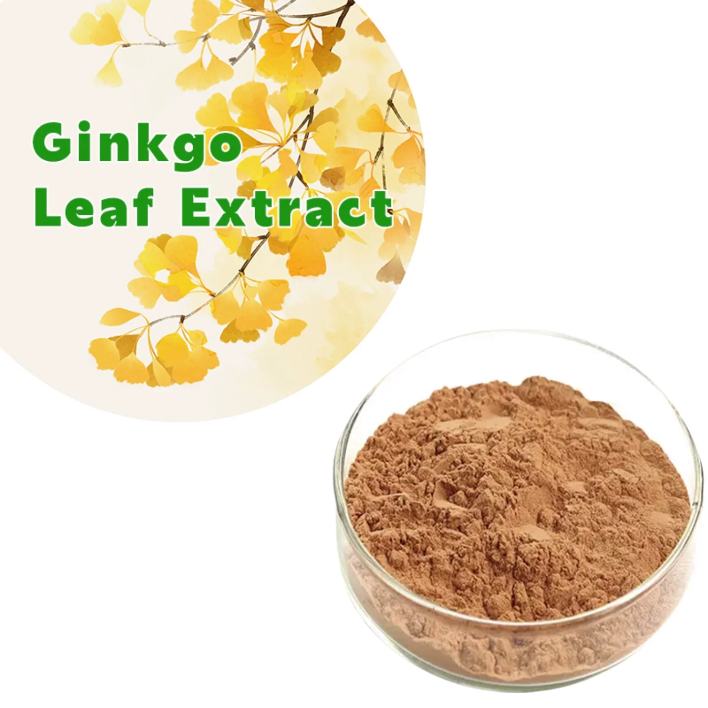 Natural Ginkgo Biloba Leaves Powder Hot Selling Ginkgo Biloba Extract