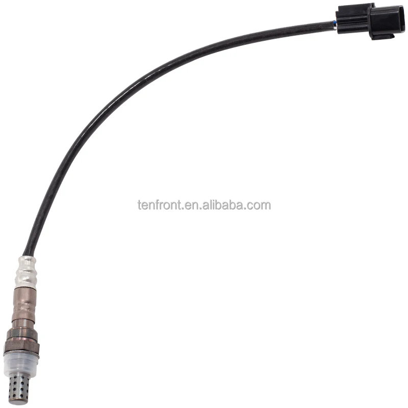 MD312083 (2).JPG