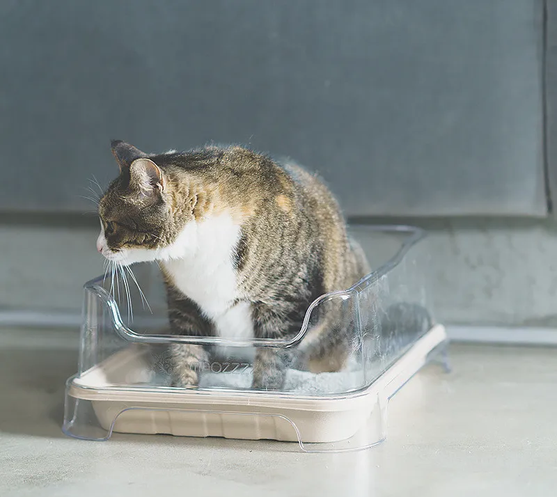 Disposable Pulp Eco Friendly Cat Litter Box Pet Cleaning & Grooming