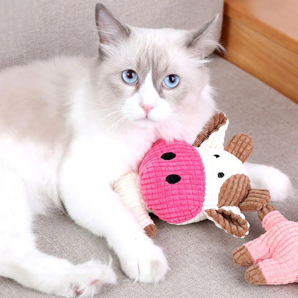 shorten the distance between you and your pet with plush dog chew toys