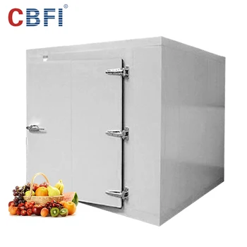 Cheap Price Multifunctional Function Mobile Design Meat Fruit Fish Storage Cold Room on Sale