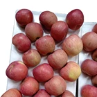 Fuji Apple Fujiapple Chinese Best Wholesale Fresh Fuji Apple High Quality For Export