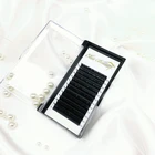 Eyelashes Single Eyelash Eyelash And Elsa Beauty Wholesale EMEDA Private Label Eyelashes Single Individual Korean Eyelash