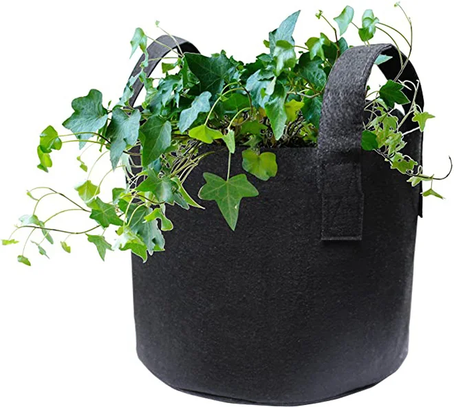 2-Gallon 6-Bag Grow Bag/Aeration Fabric Plant Pots with Green Handles for Potatoes and Plants 