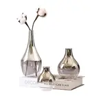 Plants Glass Glass Home Decoration Plants Pots Christmas Gift Color Flower Sliver Glass Vase