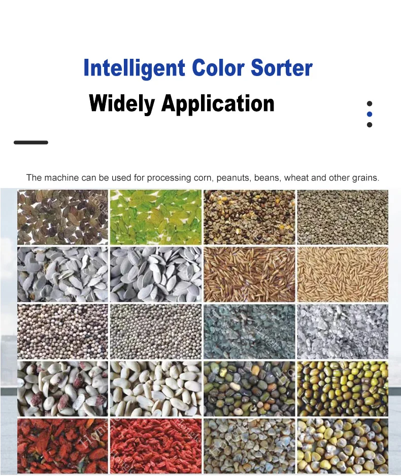 Cardamom Colour Sorting Machine Belt Olive Chilies Optical Bean Color Sorter Machine for Minerals factory