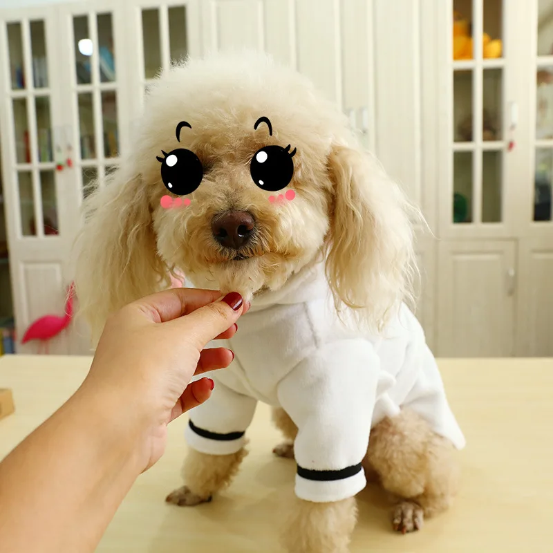 white dog robe