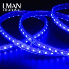 High Voltage 220v Color Changing 60 Led/m Rgb 5050 Smd Waterproof Led Strips