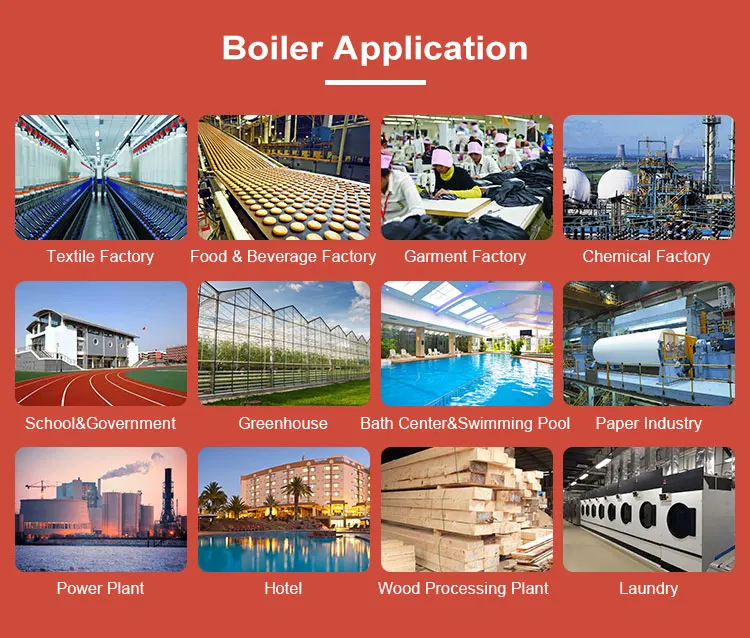 Steam Boiler, Natural Circulation - detail 10