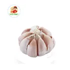 White Garlic Manufacturers High Quality 2021 New Crop China Fresh White Garlic Wholesale