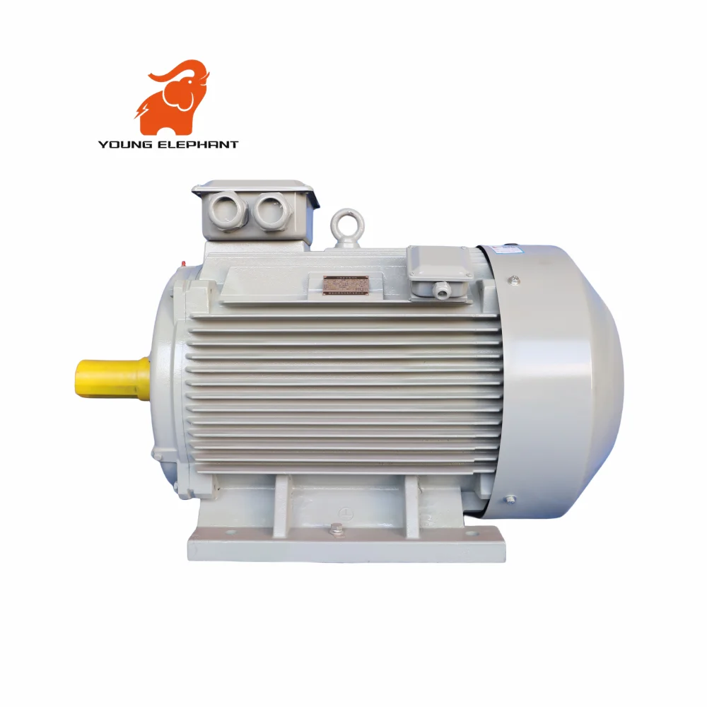 Pole Vibration Motor, YZS - detail 46