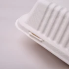 Plate Plates 2 Compartment Disposable Plate Compostable Biodegradable Plates Palm Leaf 7*5CM Rectangle Plate Lunch Box