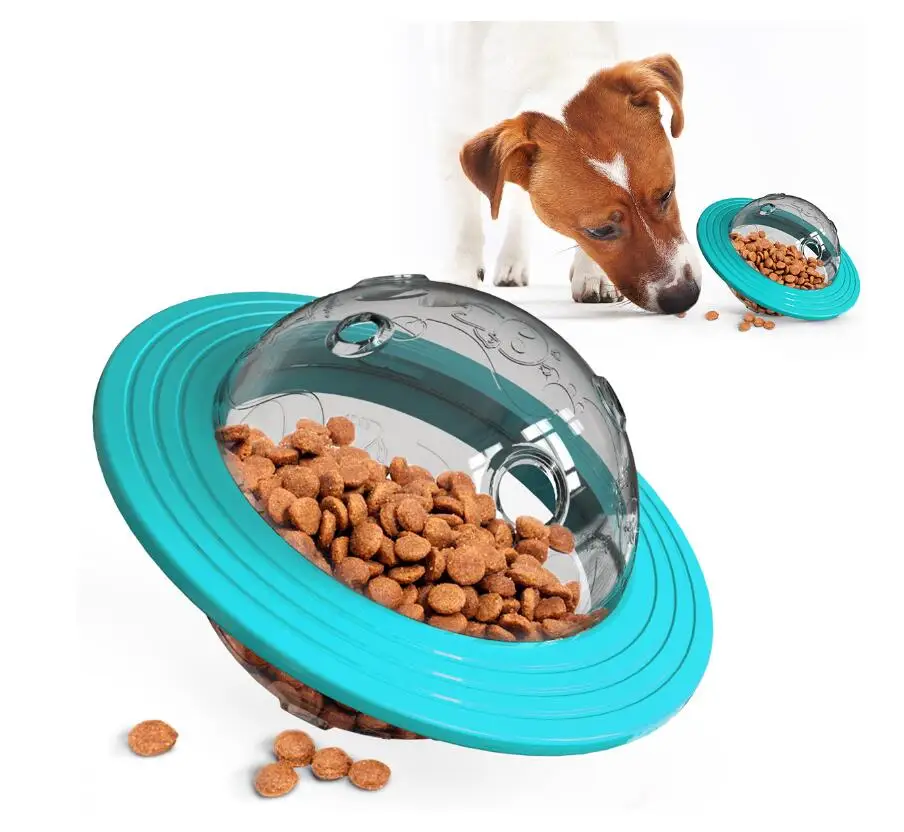 dog exercise toys