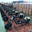Hot Selling Battery Electric Scooter Citycoco Adult Electric Motorcycle Scooter For Rent Business
