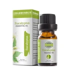 Oil Advanced Technology Custom Fragrance Eucalyptus Essential Oil