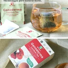 Tea 2021 Natural Herbs Boost Immunity Auxillary Reduce Blood Fat Ganoderma Lucidum Tea