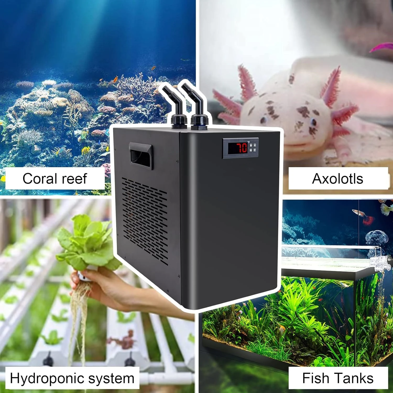 Hydroponic Water Chiller, 110v, 40F - detail 16