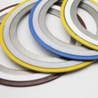 Ring Gasket Ring 3/4 Inch 2500 Lb Spiral Wound Gasket 316 Inner Outer Ring With Graphite 316 Winding Ring