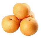 Pure Pear Grade Frist Health Fresh Pure Qiu Yue Pear
